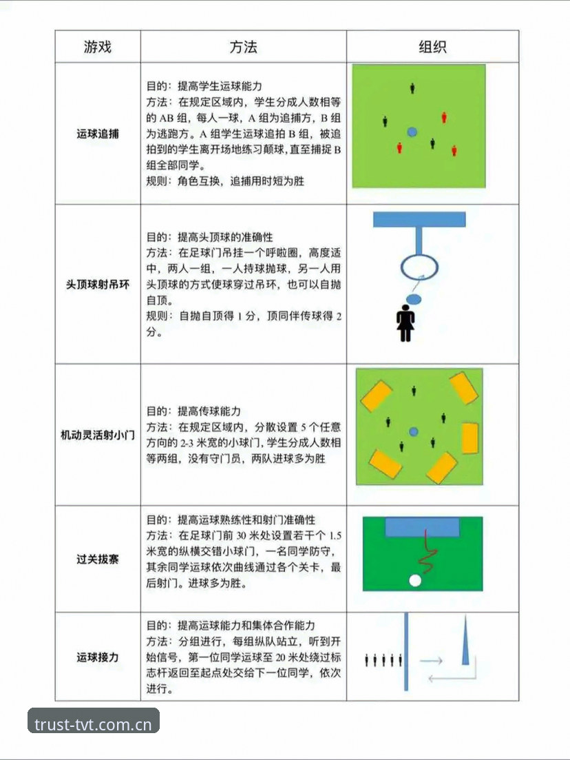TVT体育官方平台下载全流程深度分析：从入门到精通的操作指南