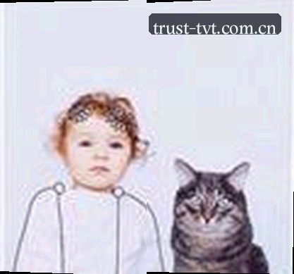 王磊